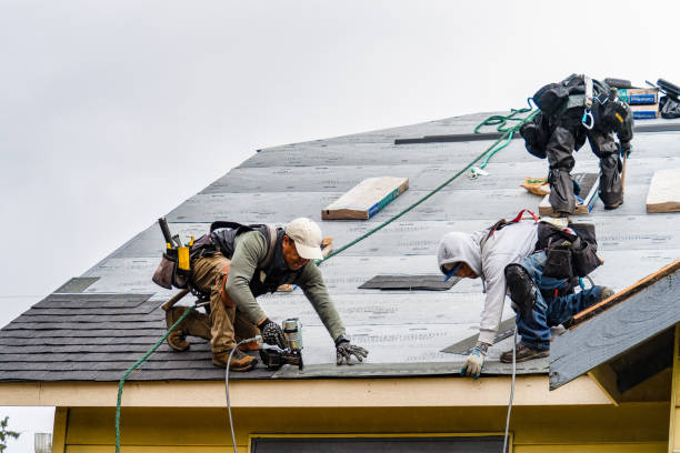 Professional Gutter Installation technician working in Leigh, NE